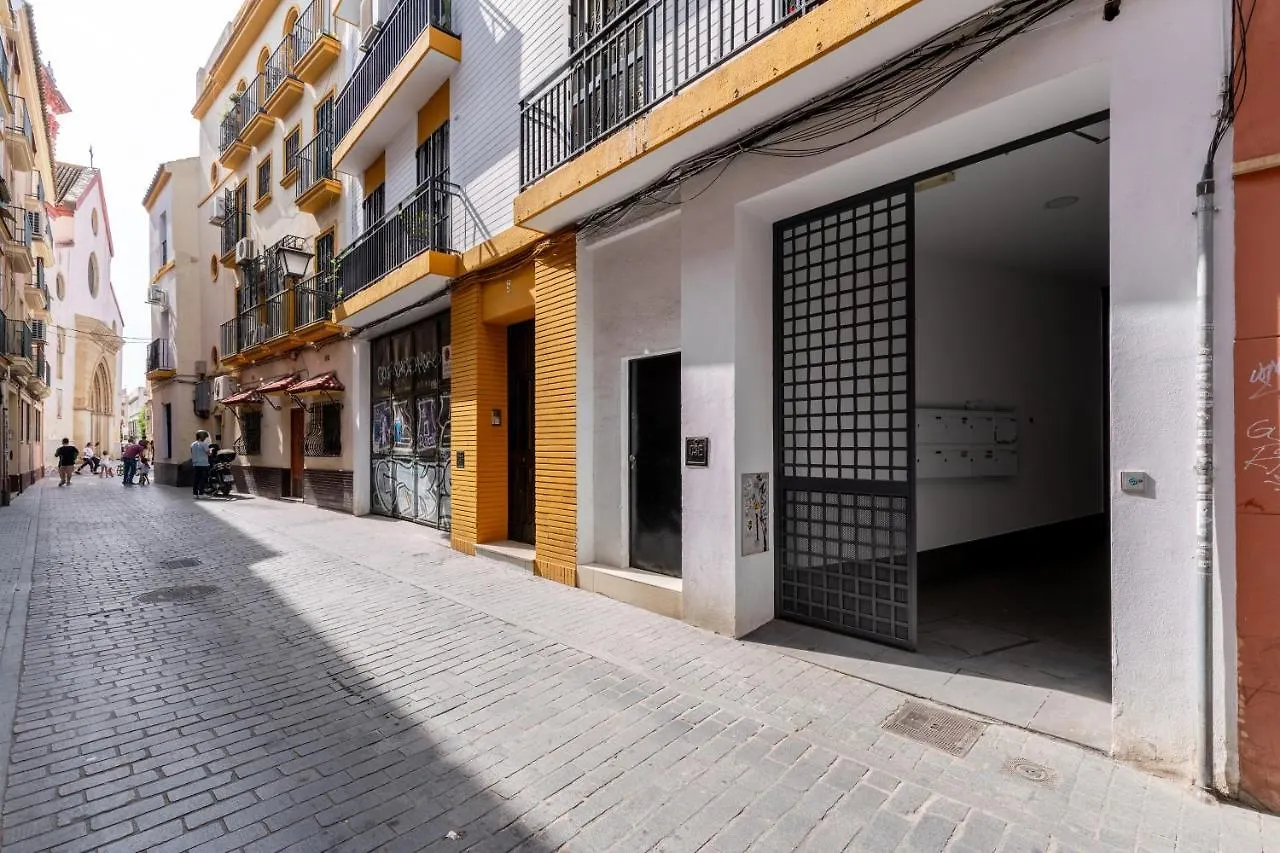 Centrico Y Acogedor Apartamento Seville Apartment